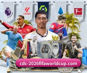 2026FIFA世界杯 APP - WorldCupChina